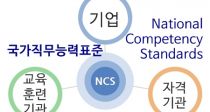 ɷǥ(NCS), ߽ ä?  ٸ ?
