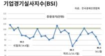 (BSI) ޶޸  