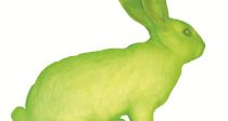 䳢  ɡ    