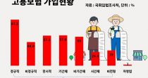 2006  ڿ 뺸  2%