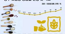 ķ ޷ 2025 60% ޼ 