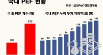 M&A PE, ߱  Ʈʷ λϳ